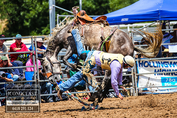 TaralgaRodeo2018_4683