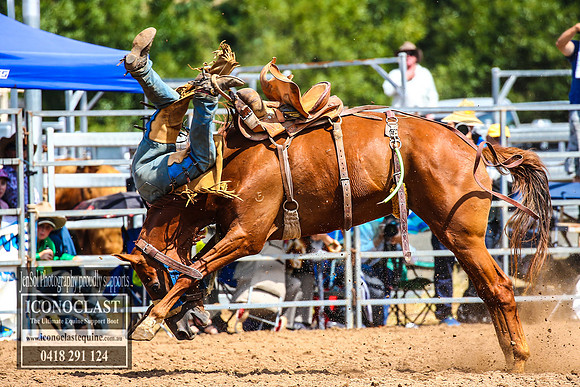 TaralgaRodeo2018_5779