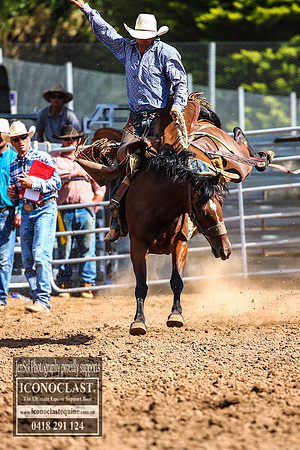 TaralgaRodeo2018_6841