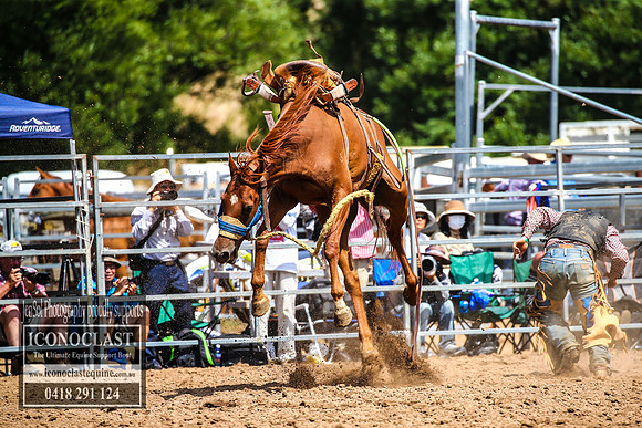 TaralgaRodeo2018_5786