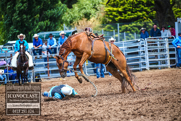 TaralgaRodeo2018_4811