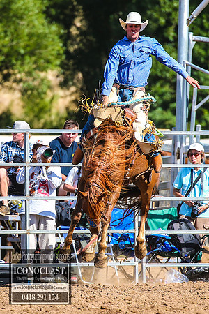 TaralgaRodeo2018_6771