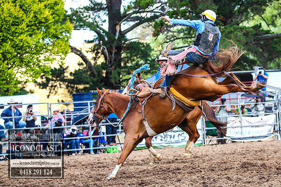 TaralgaRodeo2018_5657