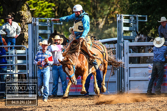 TaralgaRodeo2018_7801