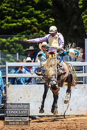 TaralgaRodeo2018_4649