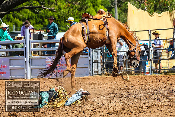 TaralgaRodeo2018_5706