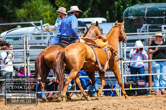 TaralgaRodeo2018_5715