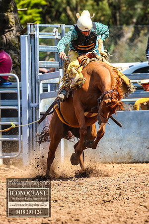 TaralgaRodeo2018_5671
