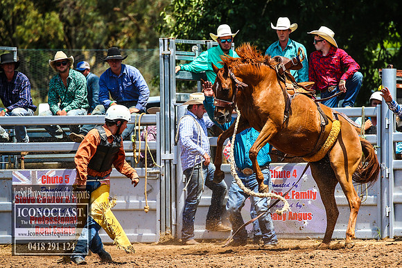 TaralgaRodeo2018_4766