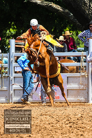 TaralgaRodeo2018_4755