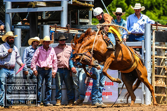 TaralgaRodeo2018_4749