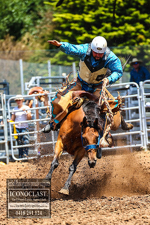 TaralgaRodeo2018_4691