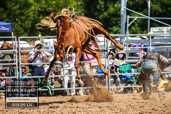 TaralgaRodeo2018_5785