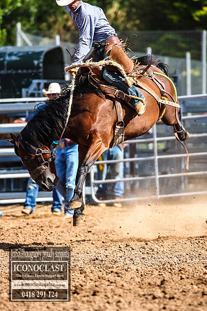 TaralgaRodeo2018_6835