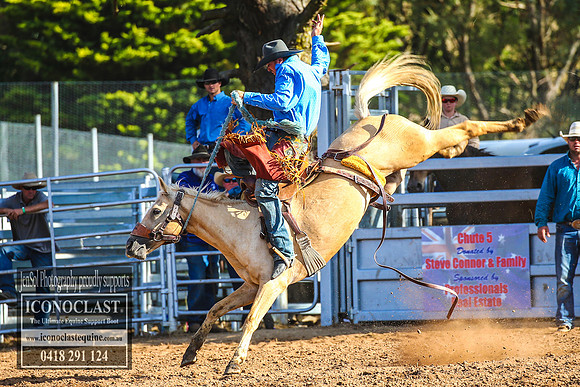 TaralgaRodeo2018_7877