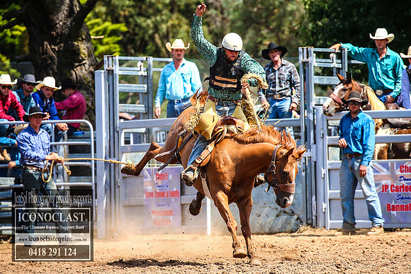 TaralgaRodeo2018_5668