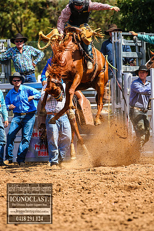 TaralgaRodeo2018_5723