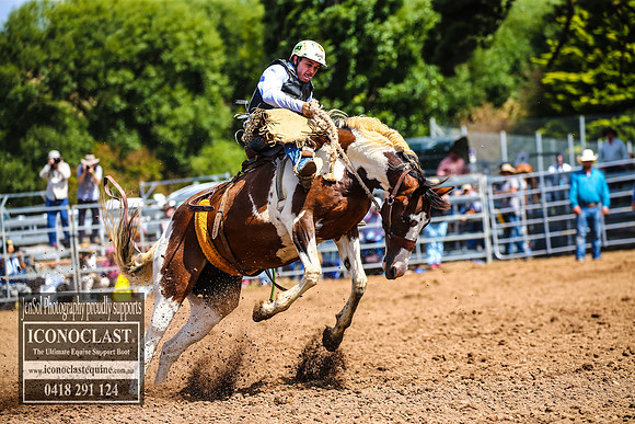 TaralgaRodeo2018_5851