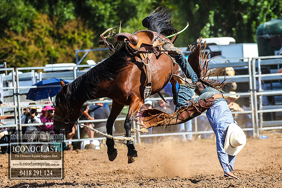 TaralgaRodeo2018_6870