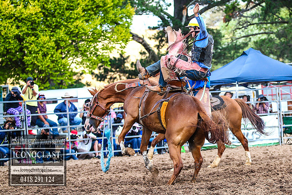 TaralgaRodeo2018_5649