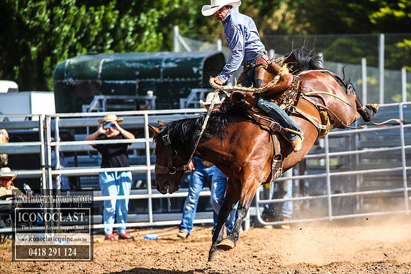 TaralgaRodeo2018_6840