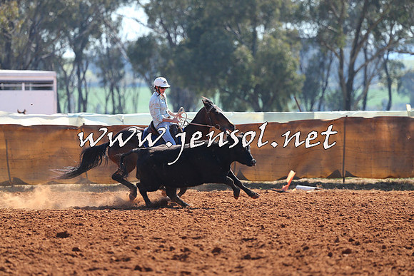 IllaboCampdraft2014_1142