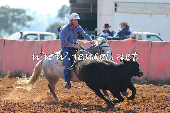 IllaboCampdraft2014_1116