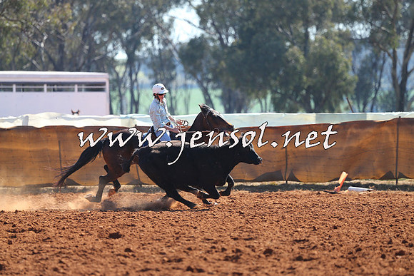 IllaboCampdraft2014_1141
