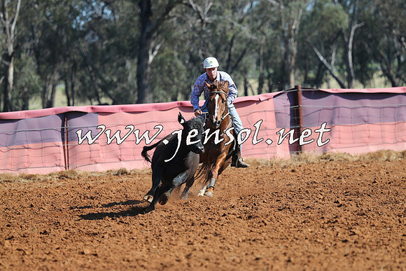 IllaboCampdraft2014_1091