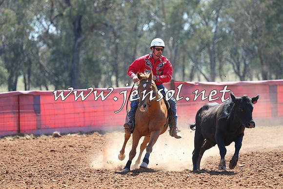 IllaboCampdraft2014_1211