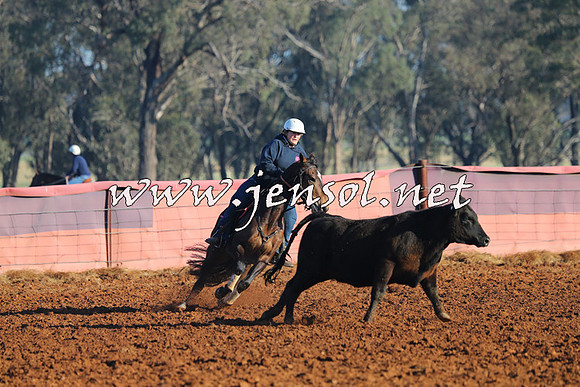 IllaboCampdraft2014_1014