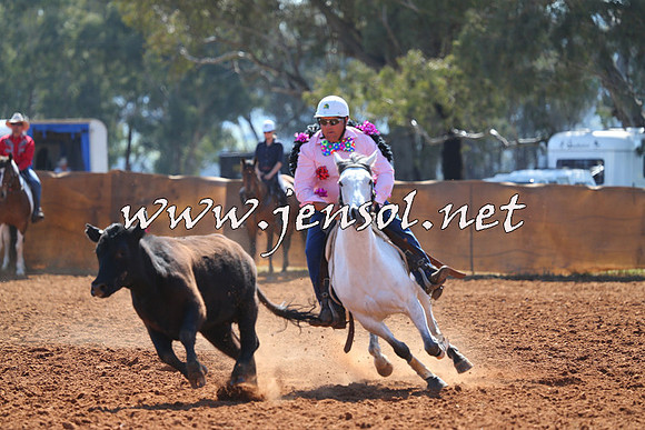 IllaboCampdraft2014_1197