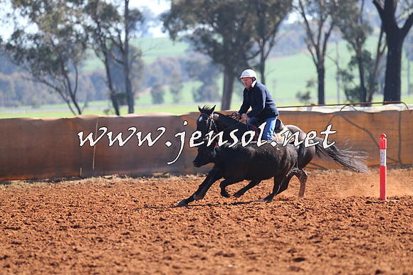 IllaboCampdraft2014_1085