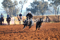 IllaboCampdraft2014_1009