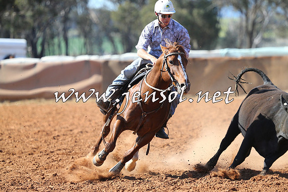 IllaboCampdraft2014_1271