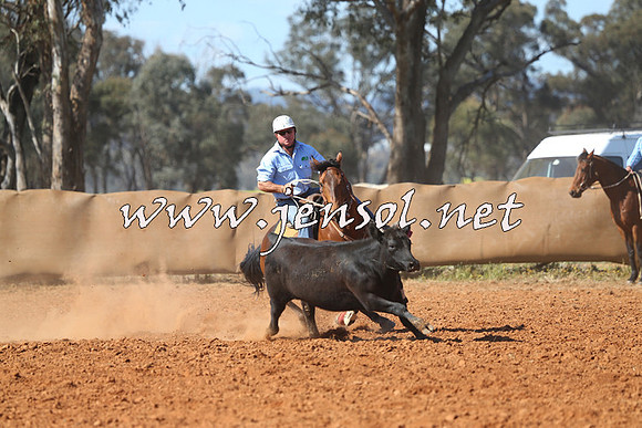 IllaboCampdraft2014_1296