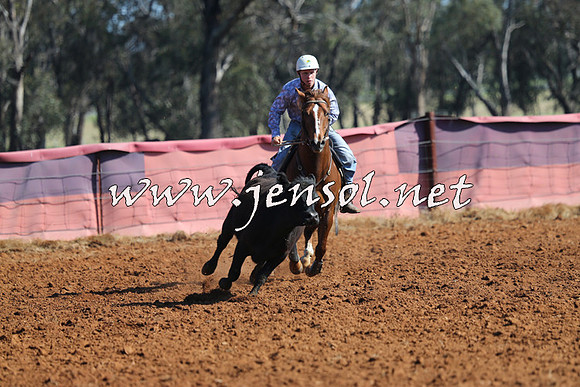 IllaboCampdraft2014_1093