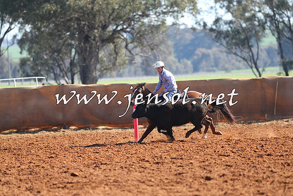 IllaboCampdraft2014_1102