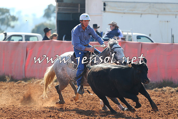 IllaboCampdraft2014_1117