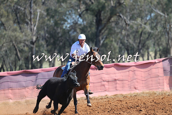 IllaboCampdraft2014_1166