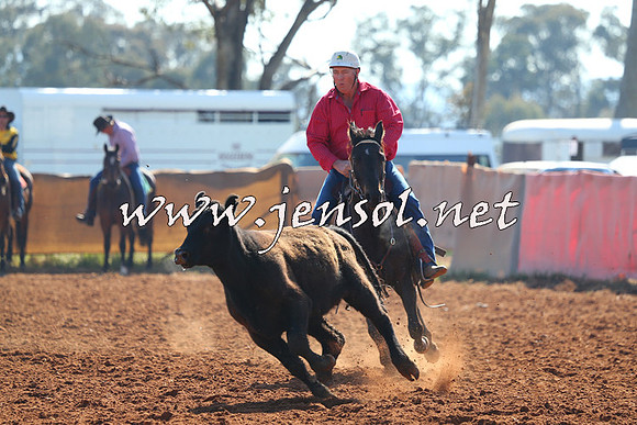 IllaboCampdraft2014_1078