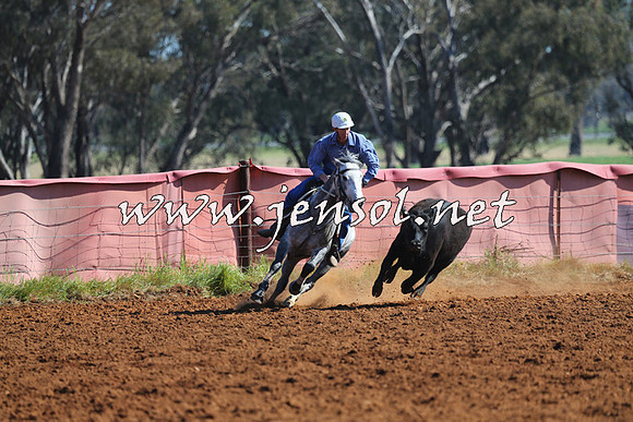 IllaboCampdraft2014_1127