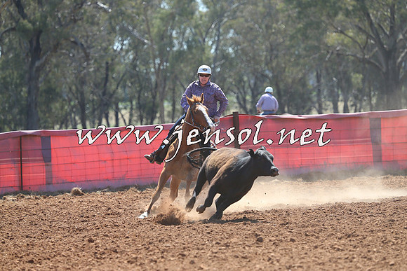 IllaboCampdraft2014_1224