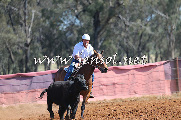 IllaboCampdraft2014_1167