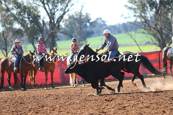 IllaboCampdraft2014_1294