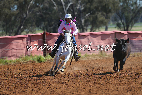 IllaboCampdraft2014_1209