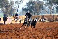 IllaboCampdraft2014_1008