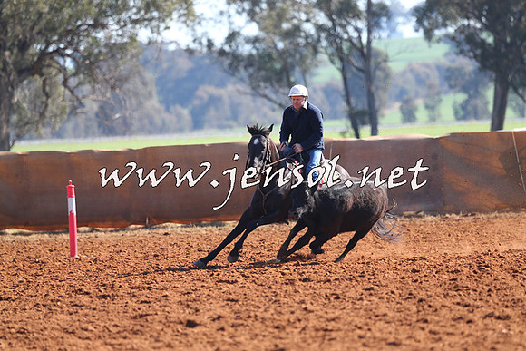IllaboCampdraft2014_1090