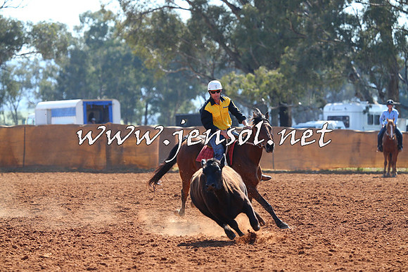 IllaboCampdraft2014_1155