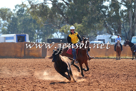IllaboCampdraft2014_1156
